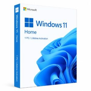 windows 11
